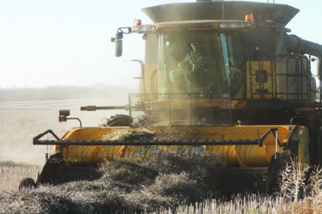 Farmers rush to finish late harvest