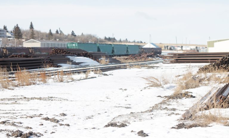 Foul play not suspected for body found by tracks