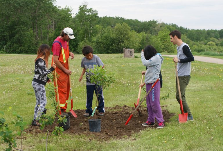 Honouring the past by planting for the future