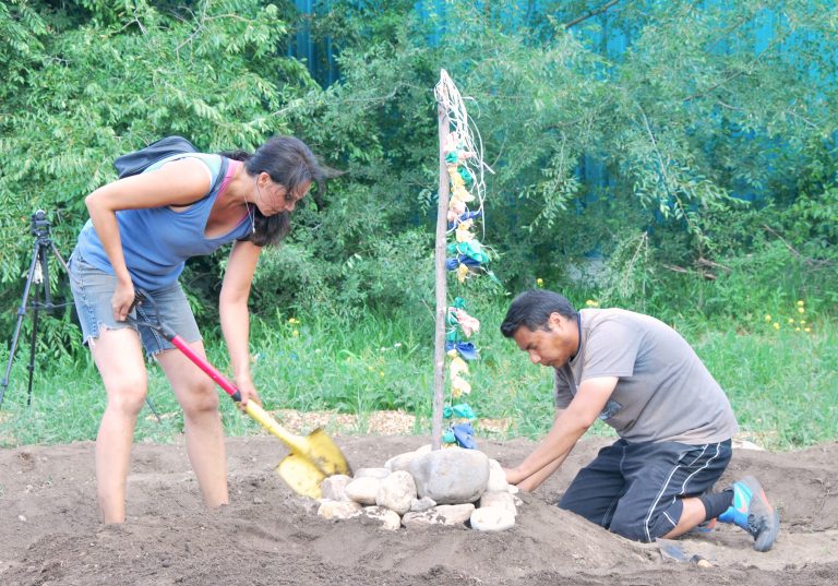 Building a healing garden