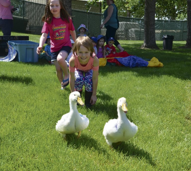 Students flock to Memorial Gardens for annual duck release