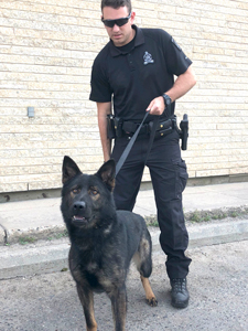 Police dog and handler training to join PAPS