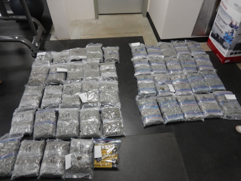 $500K of cannabis seized after investigation into trafficking