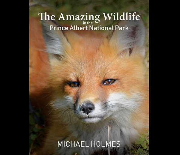 Melfort photographer captures P.A. National Park wildlife in published book
