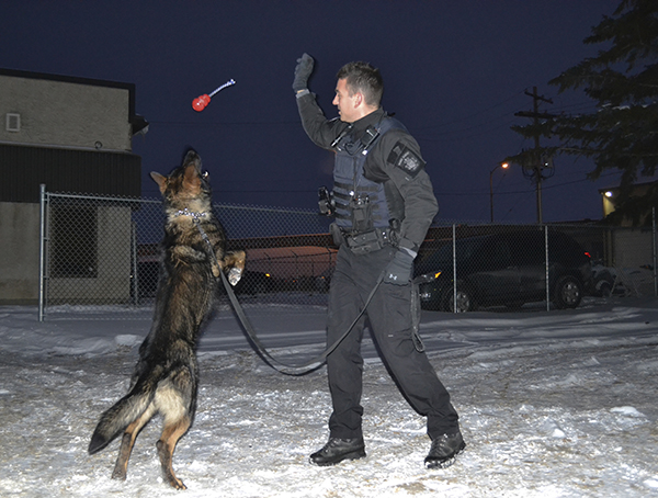 New K9 team takes to the streets