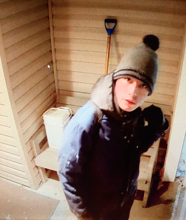 Police looking for mail thief