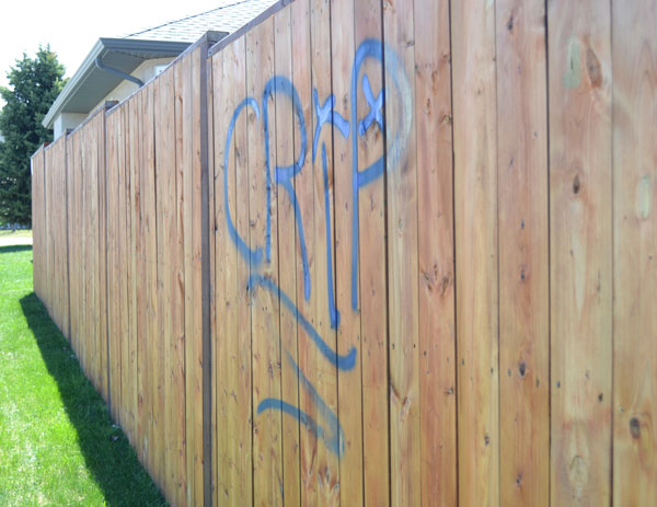 Police investigating over 20 spray-painted properties in West Hill