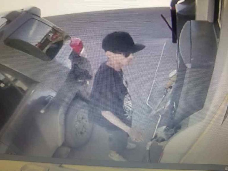 Police ask for help in identifying mystery vehicle