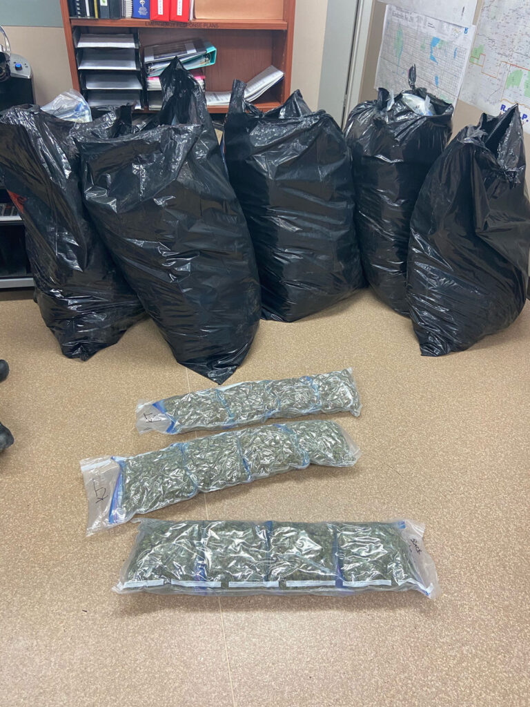 RCMP seize over 100 pounds of cannabis and nearly one kg of cocaine near Kindersley