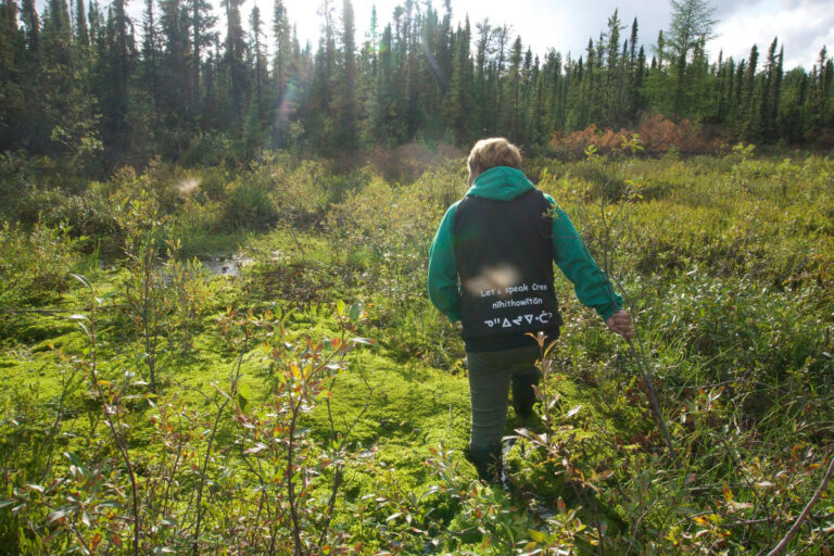 Athabasca Health Authority takes a walk in the woods with land-based learning