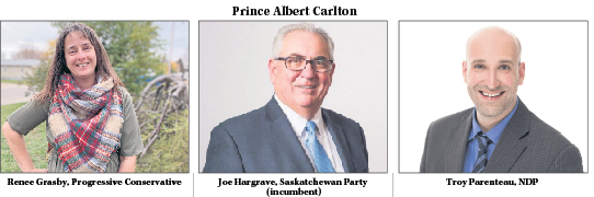 Prince Albert Carlton candidates, in their own words