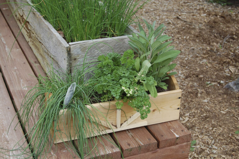 Grow Food in Small Spaces