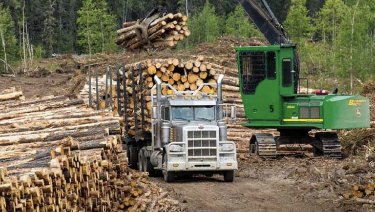 Northern trappers to block roads if not consulted by forestry industry