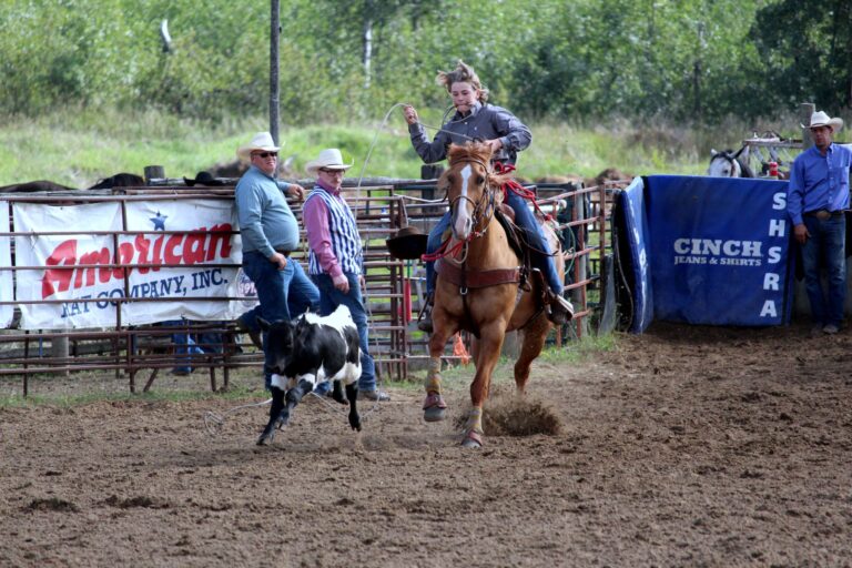 High School rodeo competitors balance sport and studies