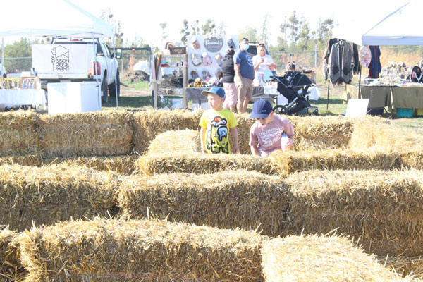 Backyard Harvest Festival celebrates changing of the seasons