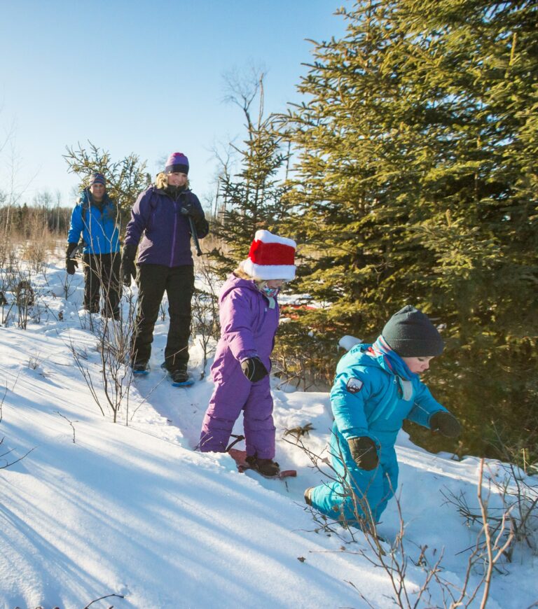 Parks Canada invites residents north to find the perfect Christmas tree