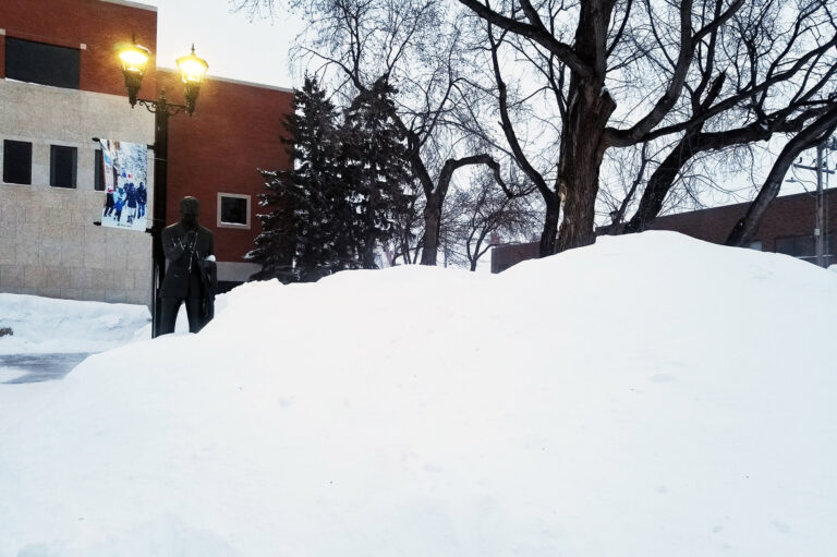 Councillor to bring snow removal motion forward to help make process more efficient