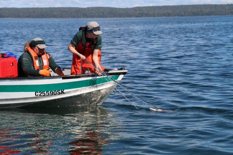 ‘Fishing for anglers’: Parks Canada looking for public input to help reverse declining Lake Trout population in Kingsmere Lake