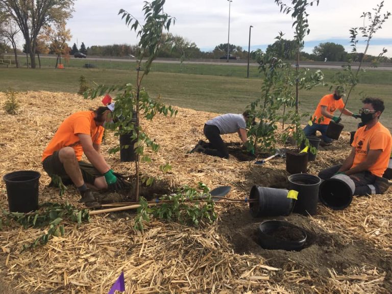 Arbor Week – Plant a tree or two or three or more