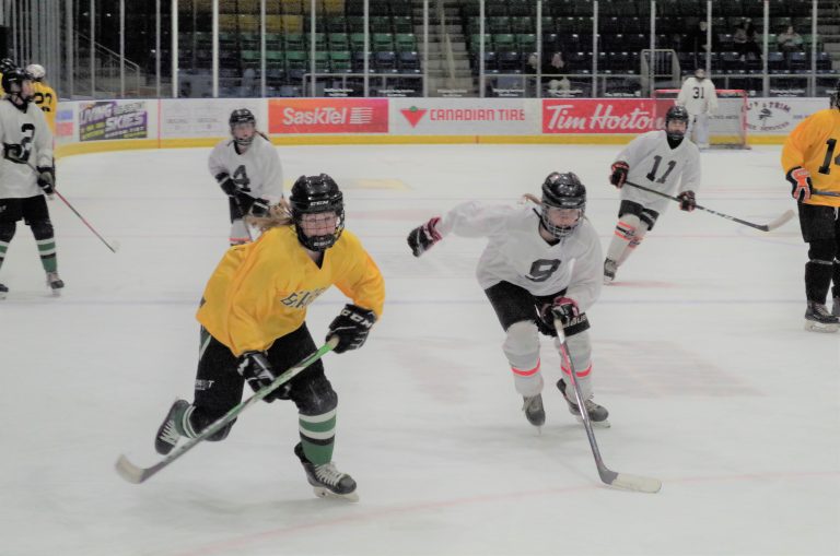 Northern Bears host first sessions of spring camp