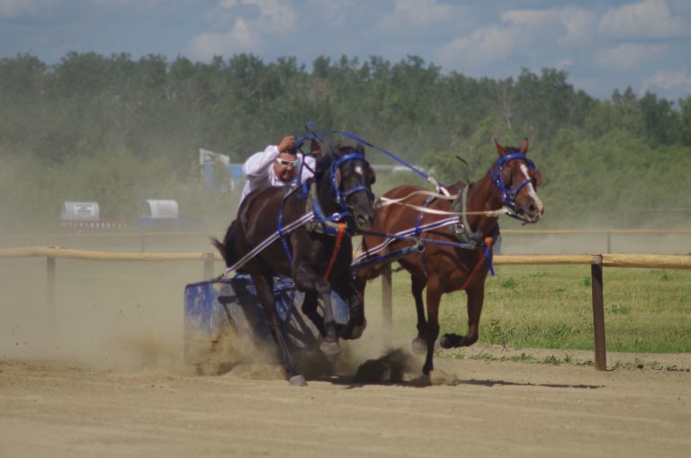 Off to the races at Back to Batoche
