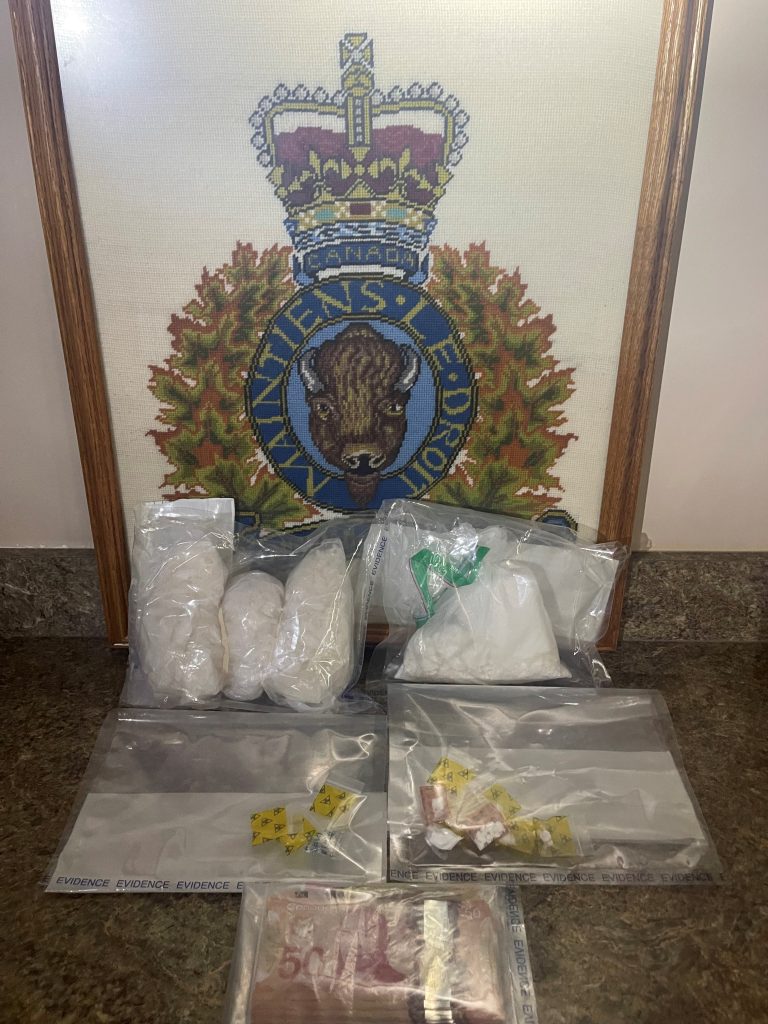 Sask RCMP seizes large amount of drugs from vehicle on Trans-Canada Highway