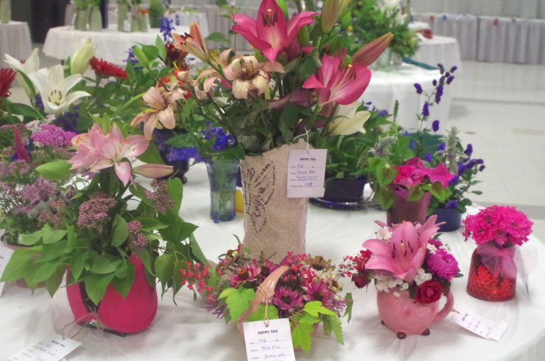 Horticultural competition a blooming good time