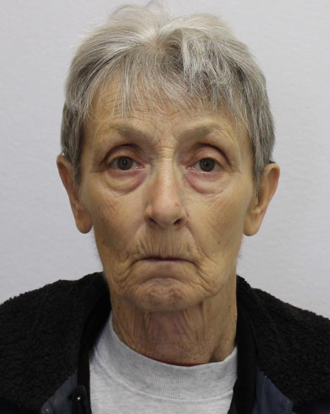 Search continues for 74-year-old woman that disappeared while mushroom picking