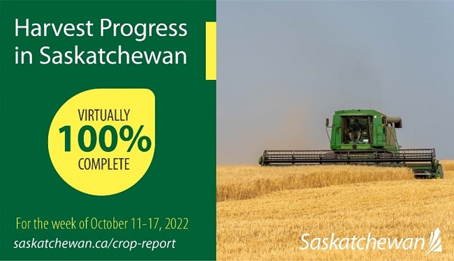 Crop Report – For the period October 11 – 17, 2022