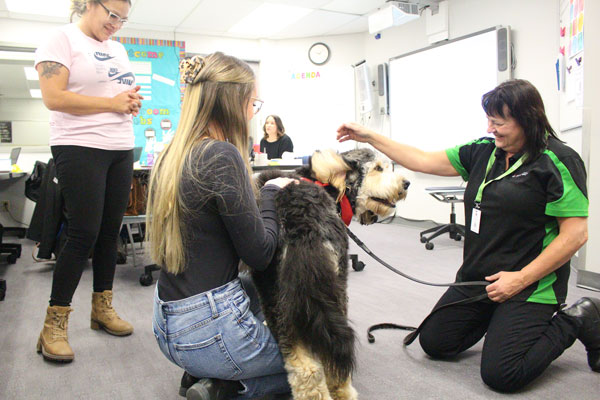 Paws Your Stress program kicks off with first therapy dog visit
