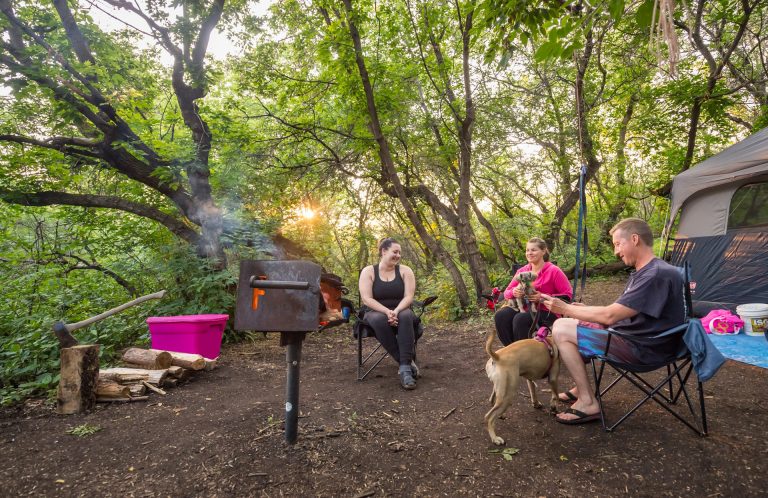 Sask. Parks announces campsite reservation dates, increased prices, and new features for 2023 season