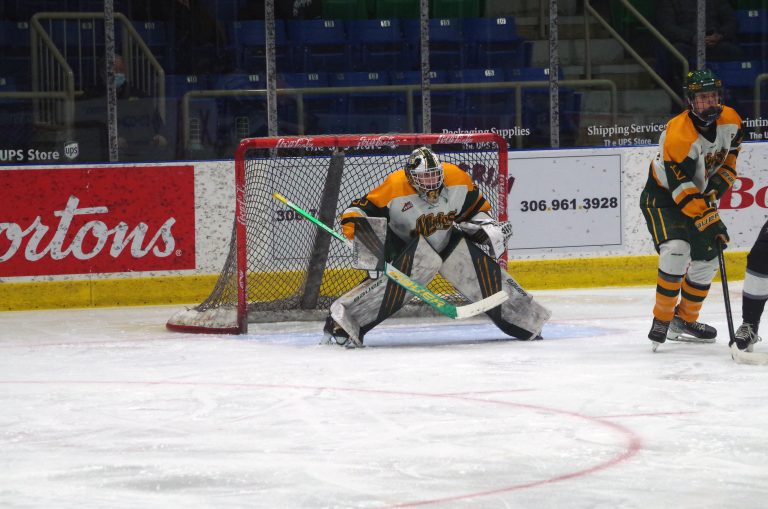 Mintos fall to top-ranked Blazers in overtime