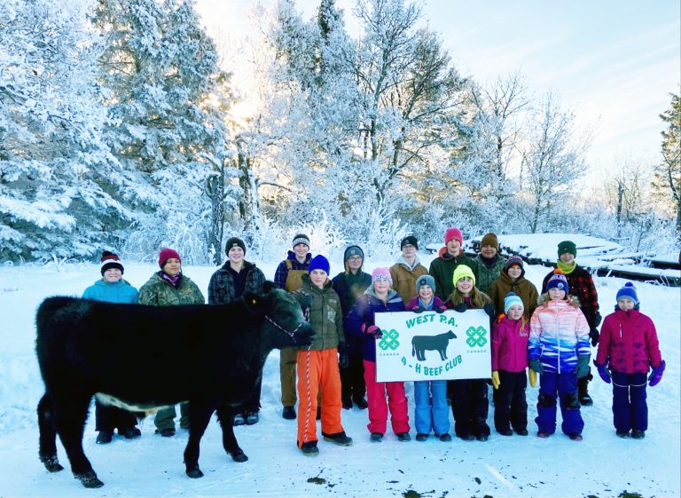 West PA 4H Beef Club excited for upcoming year
