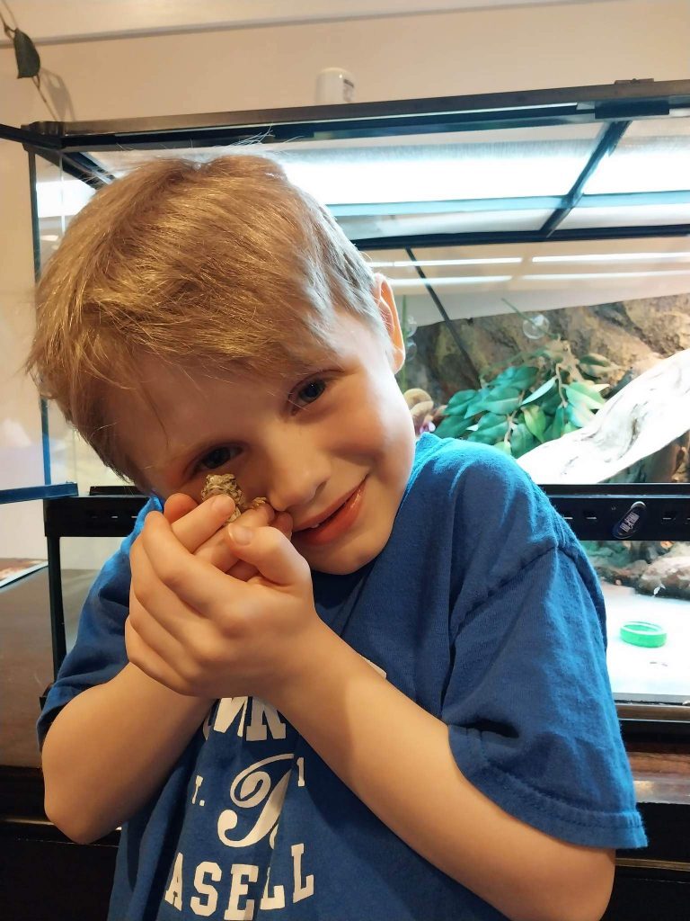 Archer’s Story – ‘I wish to have a pet lizard.’