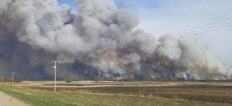 Long, hot Saskatchewan summer could increase wildfire risk, says Public Safety