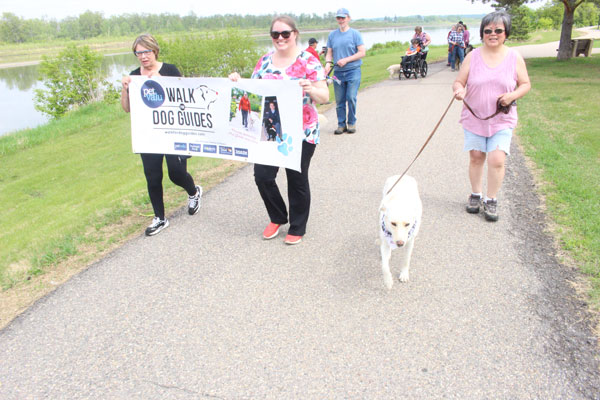 Lions’ Pet Valu Walk for Dog Guides raises $2,500