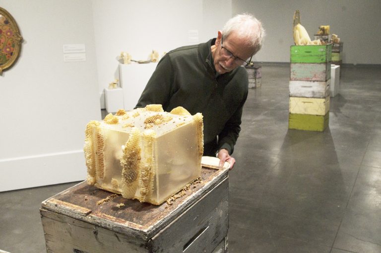Artists put bees to work in new Mann Art Gallery exhibit
