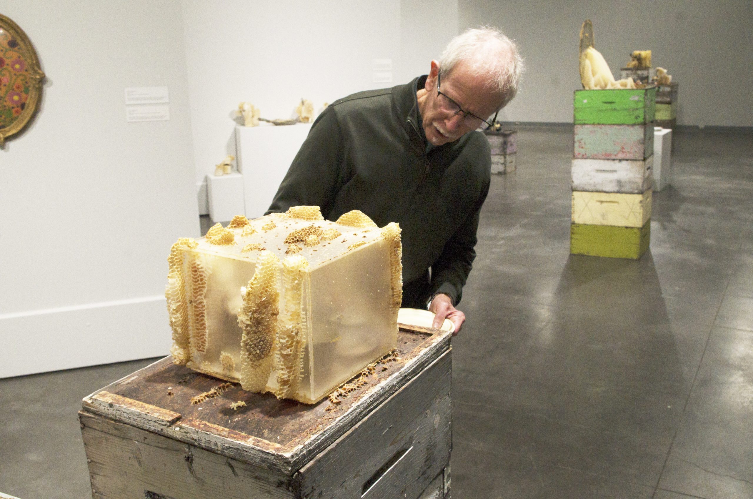 Artists set bees to do the job in new Mann Artwork Gallery exhibit