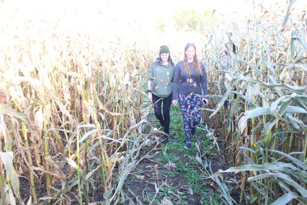 Haunted Corn Maze ready for another scary season