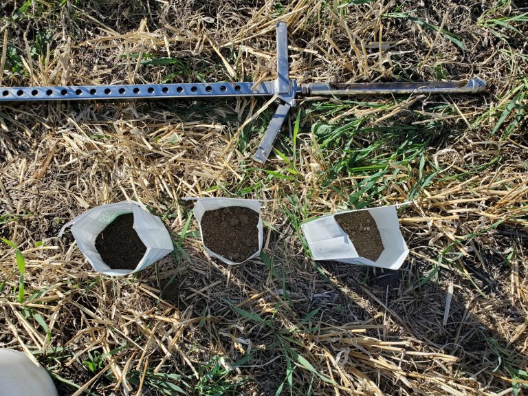 Experiment with three soils tests from one field