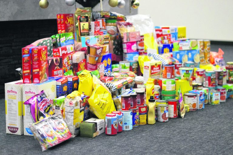 Prince Albert Food Bank looking to meet increased need with annual Christmas Food Drive