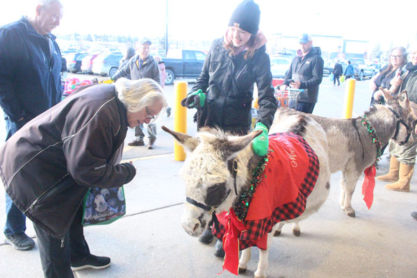 Donkeys return to support Salvation Army on Fill the Kettle Day