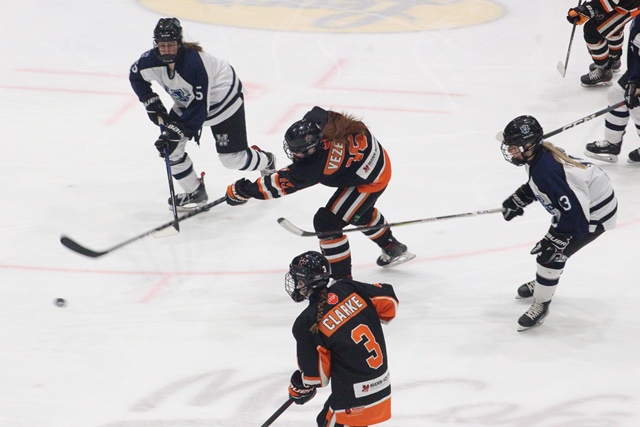 Northern Bears open weekend set with 4-2 loss to Wildcats