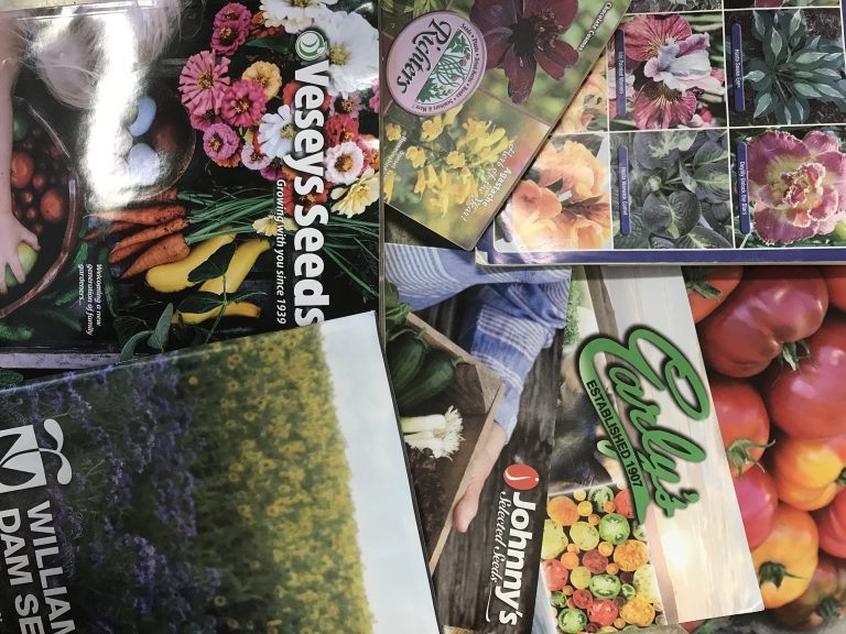 Seeds, catalogues and many good things