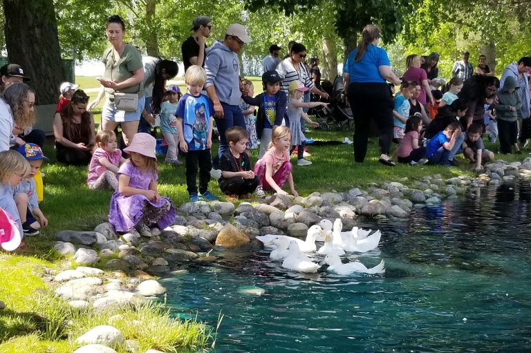 Duck launch brings children and friendly fowl to Memorial Gardens