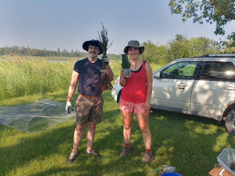 Prince Albert Model Forest Association continues tree planting on river bank 