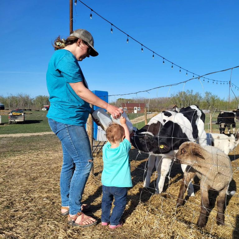 Open up: Sask. farmers prepare to welcome visitors for Open Farm Days