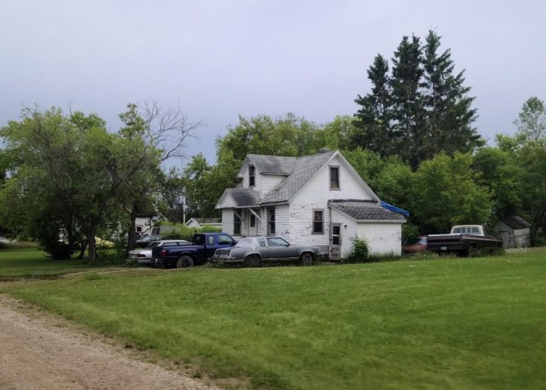Animal Protection Services conduct search at Archerwill residence