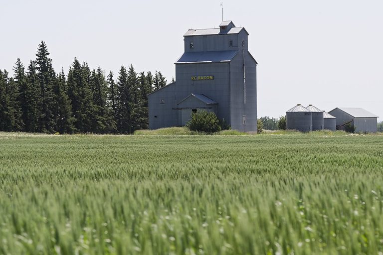 Grain elevator needs farmers to survive