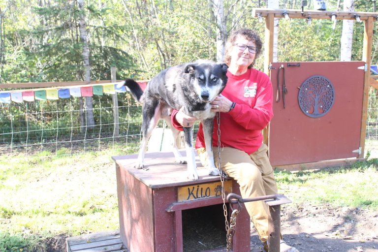 Risky Trail Kennel gives owner and dogs new life in retirement